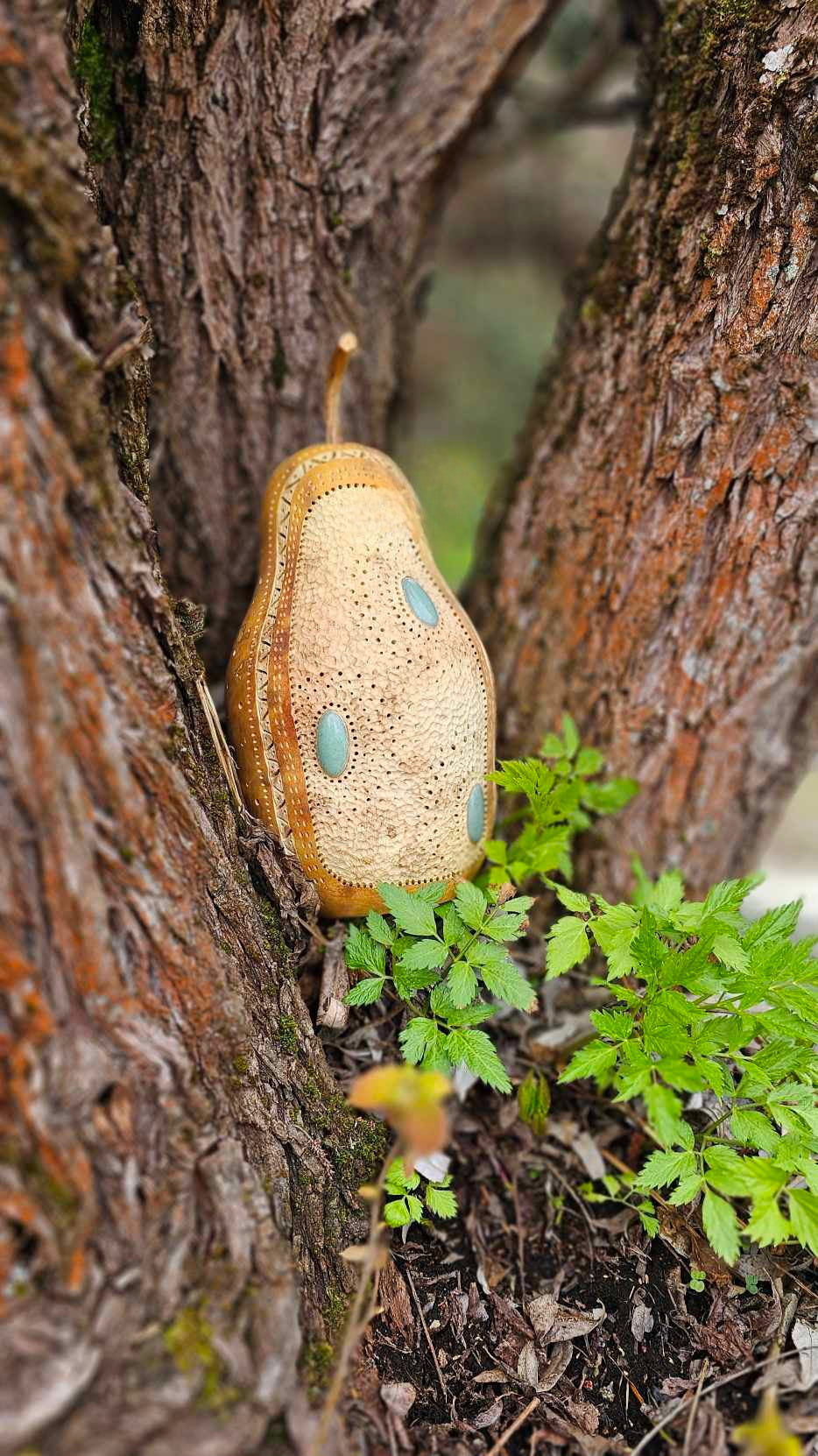 Akvamarin Kalebasslampe